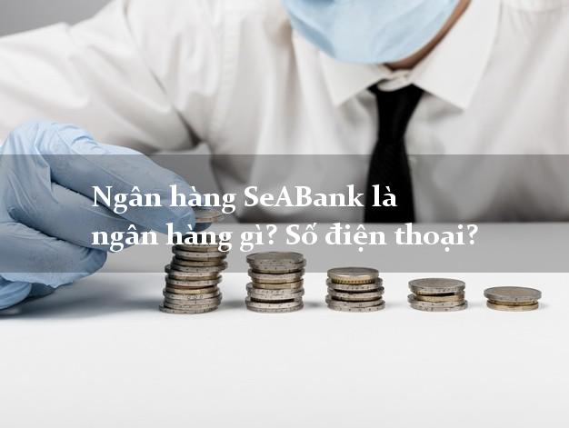 Ngân hàng SeABank là ngân hàng gì? Số điện thoại?