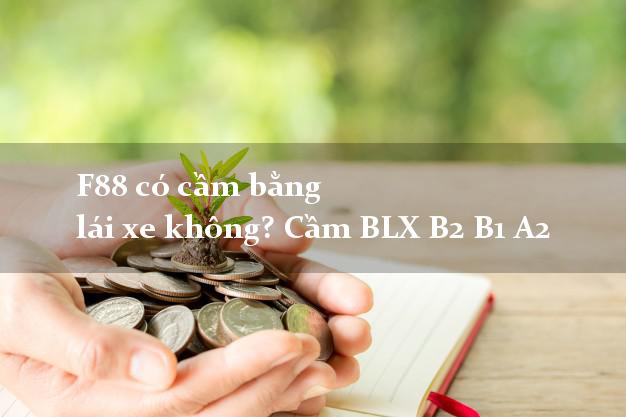 F88 có cầm bằng lái xe không? Cầm BLX B2 B1 A2